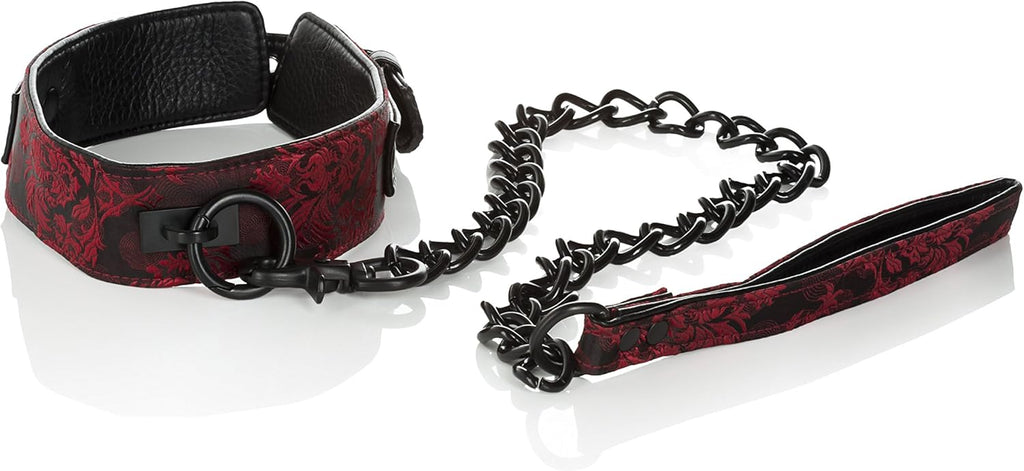 Collar w/ Leash