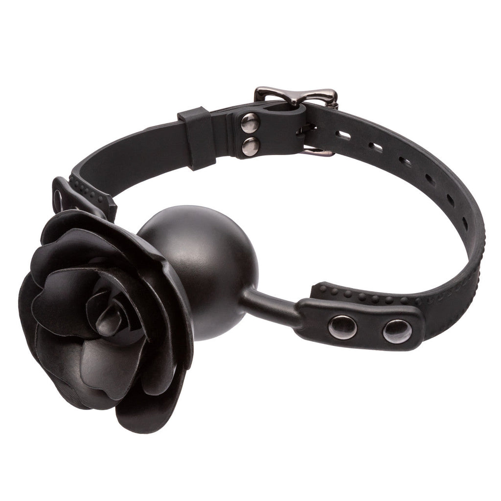 Forbidden Gag