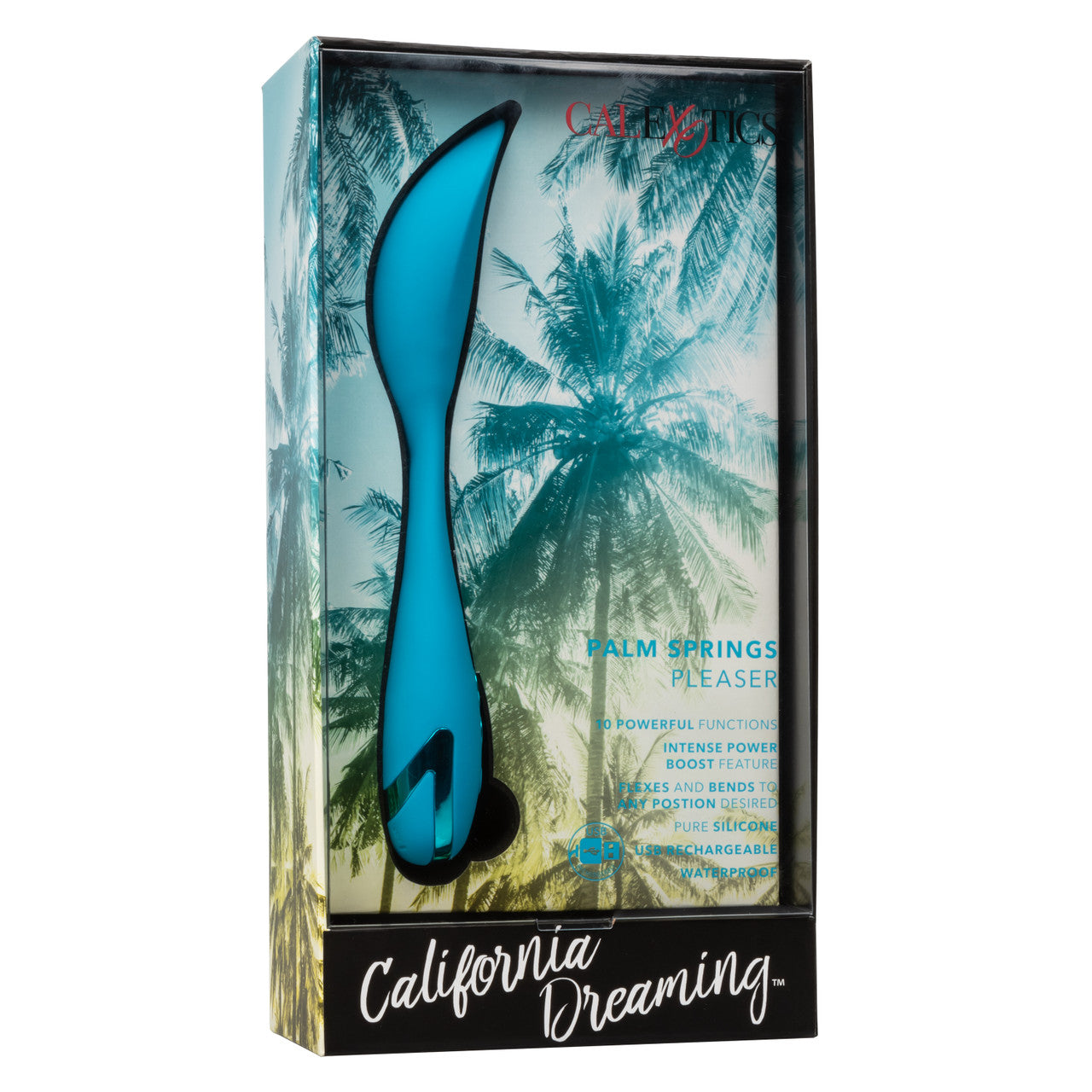 Palm Springs Pleaser