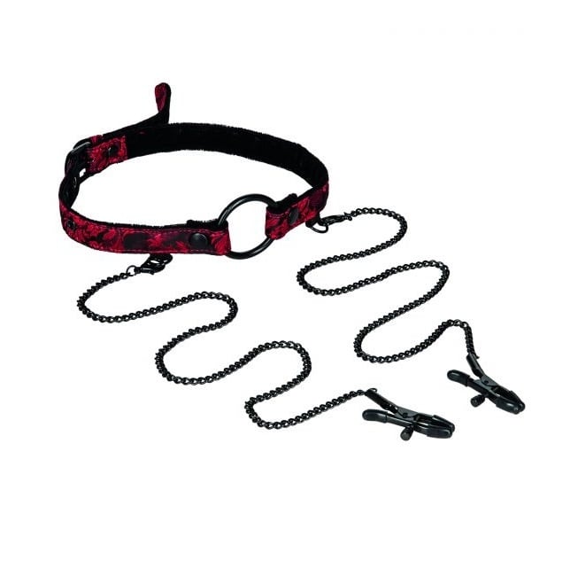 Open Mouth Gag w/ Clamps