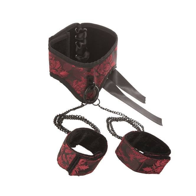 Posture Collar w/ Cuffs